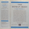 The human body.
