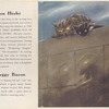 The Cat that jumped out of the Story, by Ben Hecht.