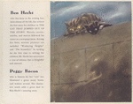 The Cat that jumped out of the Story, by Ben Hecht.
