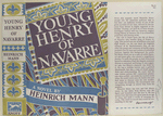 Young Henry of Navarre : a novel