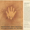 Prehistoric rock pictures