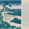 Abenteuer in Japan : Roman