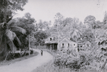 Trinidad, 1939