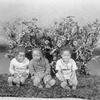 Juveniles [three little boys].