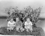 Juveniles [three little boys].