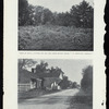 Trees of holly, juniper, fir and the storm-beaten cedars - a "Kentucky Cardinal" ; The turnpike and toll-gate - "A Kentucky Cardinal" and "Aftermath"