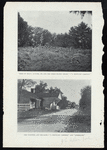 Trees of holly, juniper, fir and the storm-beaten cedars - a "Kentucky Cardinal" ; The turnpike and toll-gate - "A Kentucky Cardinal" and "Aftermath"