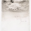 Les oiseaux.