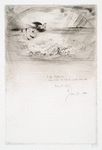 Les oiseaux.