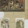 Trade cards depicting dogs, cats, fires, and cameras.