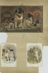Trade cards depicting dogs, cats, fires, and cameras.