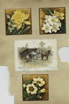 Trade cards depicting flowers, a horse and wagon.