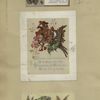 Christmas and trade cards depicting butterflies, flowers, plants, a rock and a fly