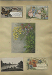 Trade cards depicting flowers, butterflies, a chocolate stand, a lake and boating.