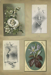 Trade cards depicting boats, flowers, leaves, an insect, and a baby in a cracked eggs