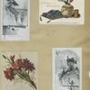 Christmas and trade cards depicting flowers, trees, branches, cloth and a vase.