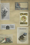 Trade cards depicting flowers, landscapes, winter, spring, birds, pottery, a shoe vase, and a dog wearing a hat and glasses.