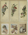 Trade cards depicting flowers, children, calligraphy, cats, acorns, thread and autumn foliage