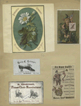 Trade cards depicting flowers, shoes, wheelchairs, a performer and a boy holding an English flag and postage stamp