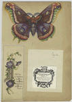 Business and trade cards depicting flowers, a butterfly and decorative ornamentation