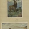 Cards depicting a buck and a boy reading outdoors on a scenic overlook.