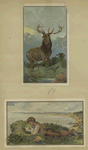 Cards depicting a buck and a boy reading outdoors on a scenic overlook.