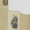 Cards depicting girls, flowers, hats, a horn, and a drawing of a house on a river