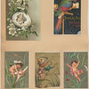 Trade cards depicting, babies, figures, flies, bees, a lily, a cracked egg, a bird eating a cracker, a butterfly net, a frog jumping through a ring.