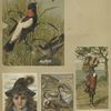 Trade cards depicting children, bird's nest and egg,  an apple tree, a hat with a peacock feather, goats, the Jack and Jill nursery rhyme.