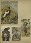 Trade cards depicting children, bird's nest and egg,  an apple tree, a hat with a peacock feather, goats, the Jack and Jill nursery rhyme.
