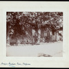 Major Andre Inn, Tappan, (N.Y.).