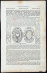 The Captor's Medal [for Andre, from the Pictorial field-book of the Revolution, pg. 205].