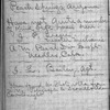 Volume 4 ["D"], Second expedition, Mar. 2d, to Apr. 30th, 1890, Diamond Creek to the gulf & return to Yuma