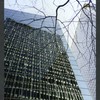 Block 006: Whitehall Street between Pearl Street and Water Street (east side)