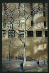 Block 007_1: Water Street between south side of Vietnam Veterans Plaza and Broad Street (south side)