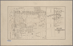 Map of lots belonging to the Bay Ridge Park Improvement Company, 1903