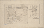 Map of lots belonging to the Bay Ridge Park Improvement Company, 1903