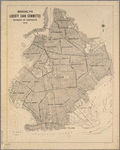 Brooklyn Liberty Loan Committee, Division of Districts, 1919
