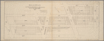 Map of 272 lots in the 30th wards, borough of Brooklyn, City of New York