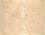 Guide map to the Parks and Parkways of Brooklyn and Queens Boroughs.