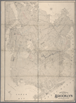 Petersen's map of Brooklyn