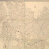 Petersen's map of Brooklyn