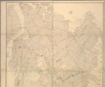 Petersen's map of Brooklyn