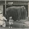 Margaret Sullavan grabbing Brooke Hayward at the zoo