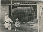 Margaret Sullavan grabbing Brooke Hayward at the zoo