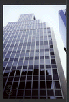 Block 014: Whitehall Street between Bridge Street and Stone Street (east side)