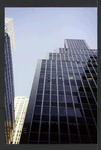Block 014: Whitehall Street between Bridge Street and Stone Street (east side)