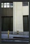 Block 014: Bridge Street between Broad Street and Whitehall Street (north side)