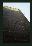 Block 016: Bridge Street between Broad Street and Coenties Alley (north side)