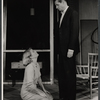 Barbara Bel Geddes and Arthur Hill in the stage production The Porcelain Year